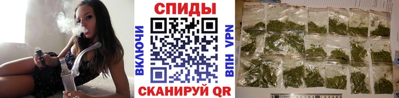 как найти наркотики  Сураж  MEGA ссылка  Бутират бутандиол 