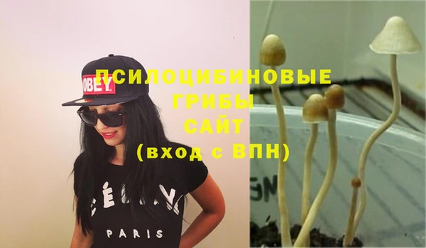 скорость Алексин