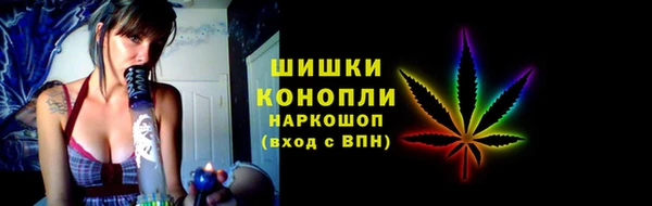 спайс Алзамай